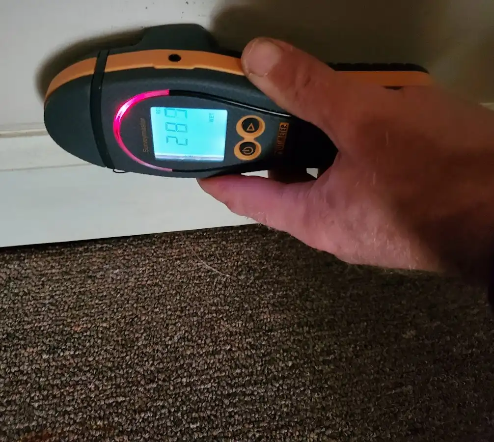Moisture detection at baseboard during Mold Inspection & Testing in Lufkin